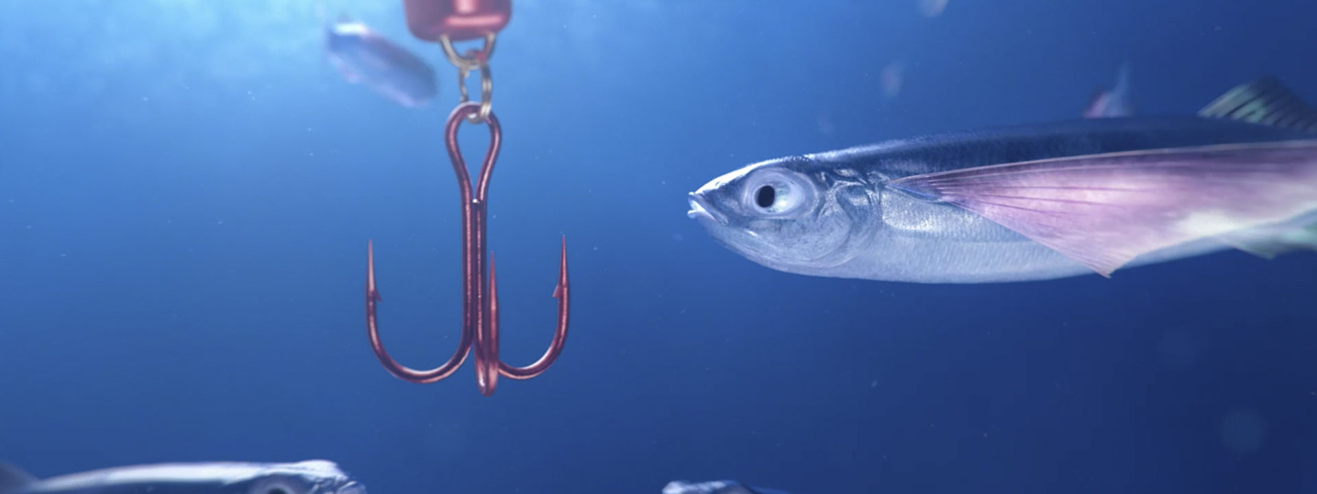 O2 Baits