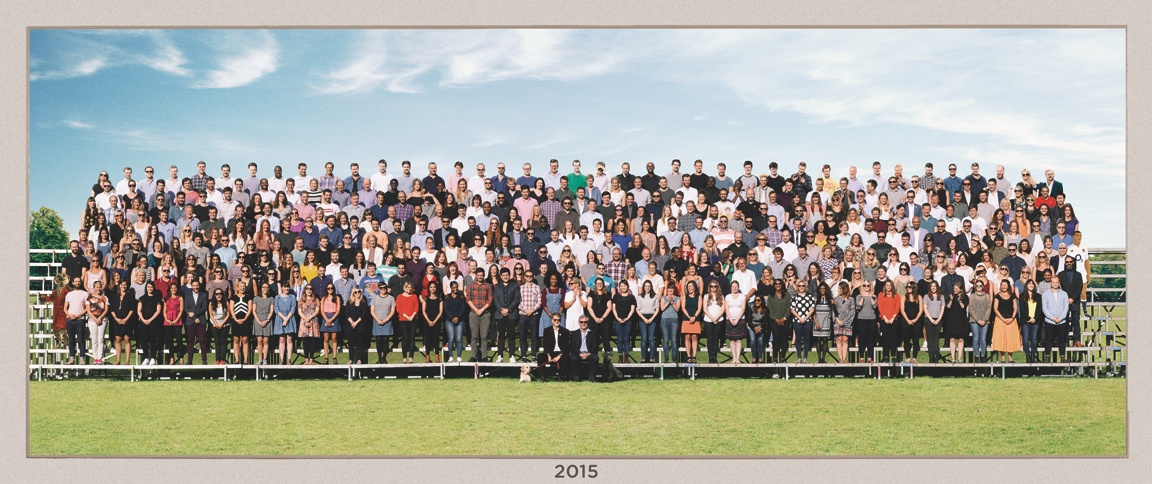 Company employees in 2015