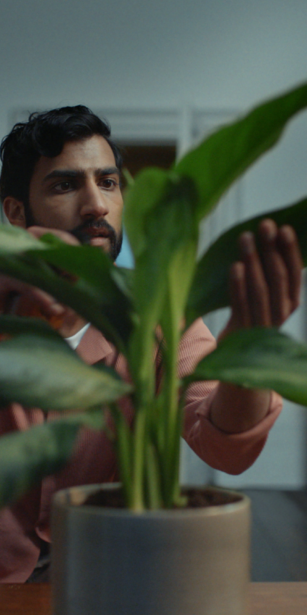 A man tending to a houseplant