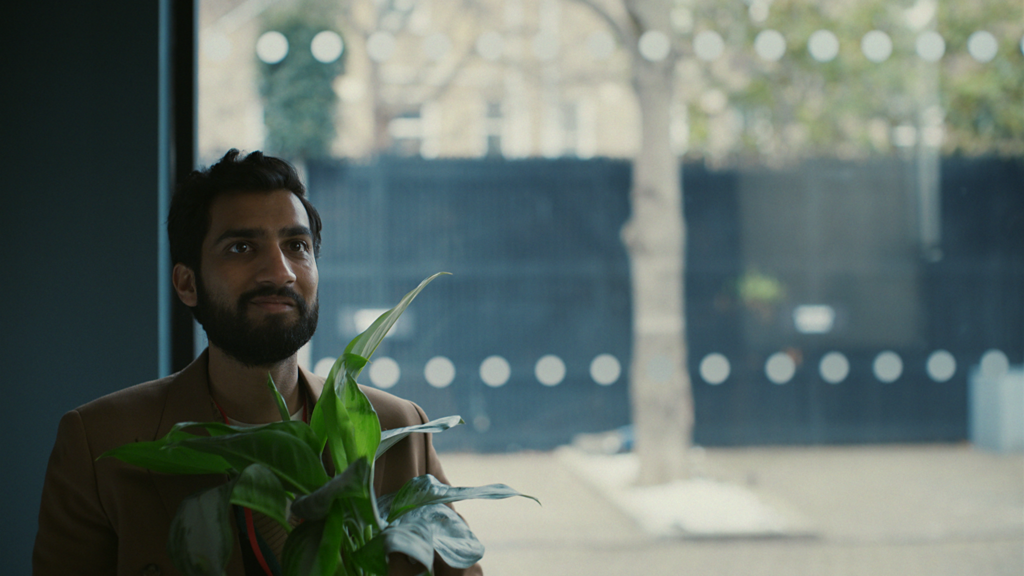 Man holding a green leafed plant