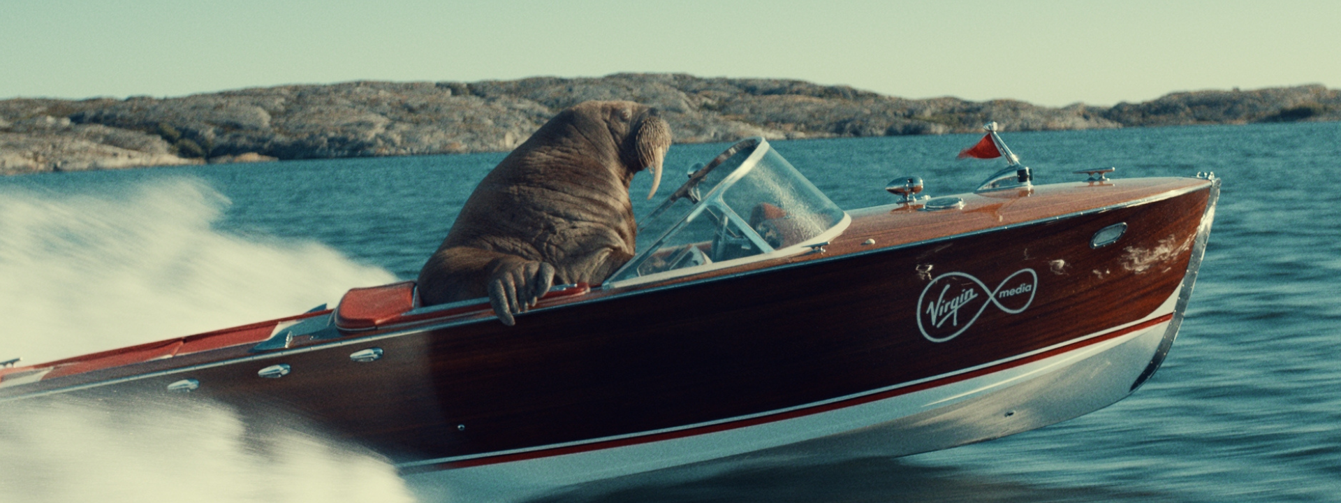 A walrus is sitting at the helm of a speeding, vintage-style wooden speedboat with a Virgin Media logo on the side. The boat is gliding across the water, creating a large wake, and is set against a backdrop of calm blue waters and rocky islands in the distance. The walrus appears to be navigating the boat with one flipper resting on the side. The image has a light-hearted and surreal feel