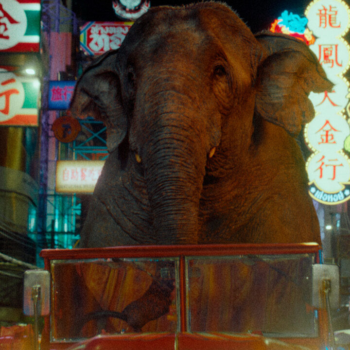 Elephant riding in vehicle - 'Trunk Trucker' O2 Ad