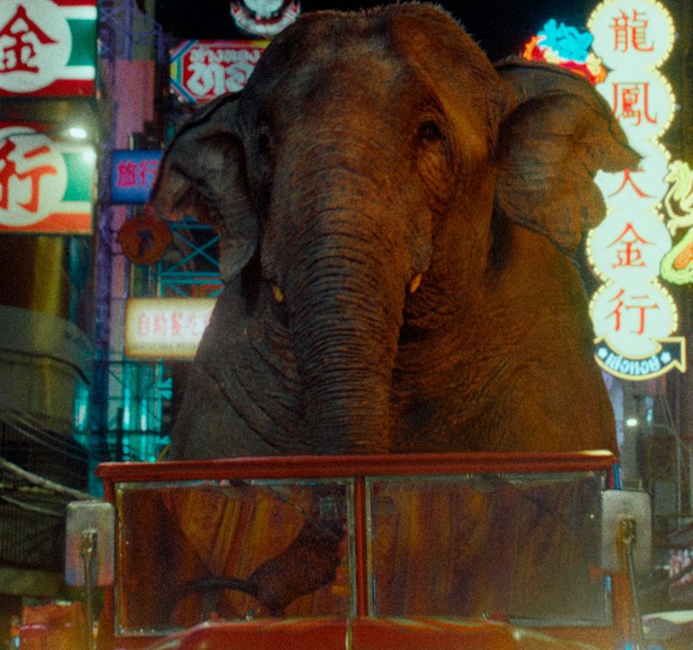 Elephant riding in vehicle - 'Trunk Trucker' O2 Ad