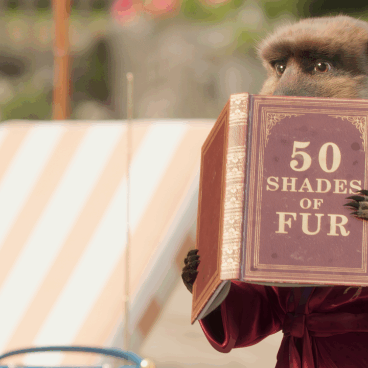 A meerkat sits on deck chair reading a book called '50 shades of fur'