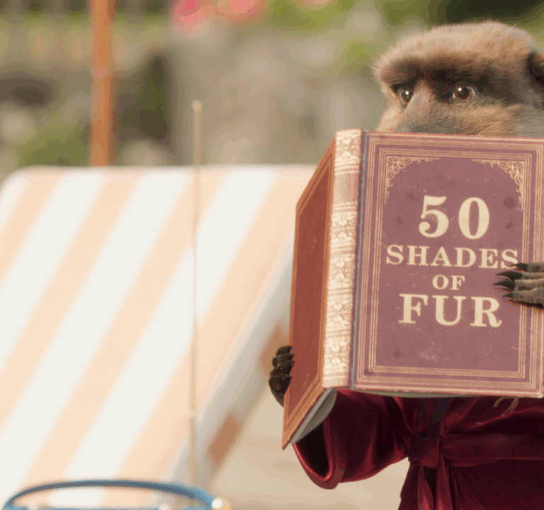 A meerkat sits on deck chair reading a book called '50 shades of fur'