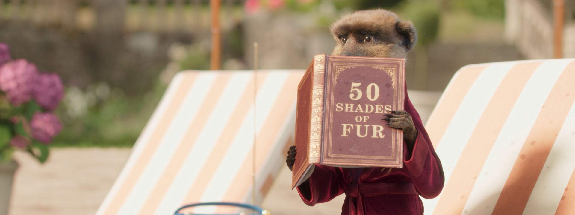 A meerkat sits on deck chair reading a book called '50 shades of fur'