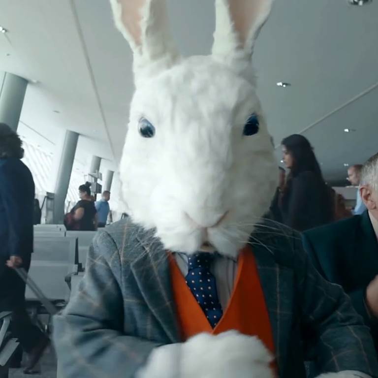 A large white rabbit in a room full of people