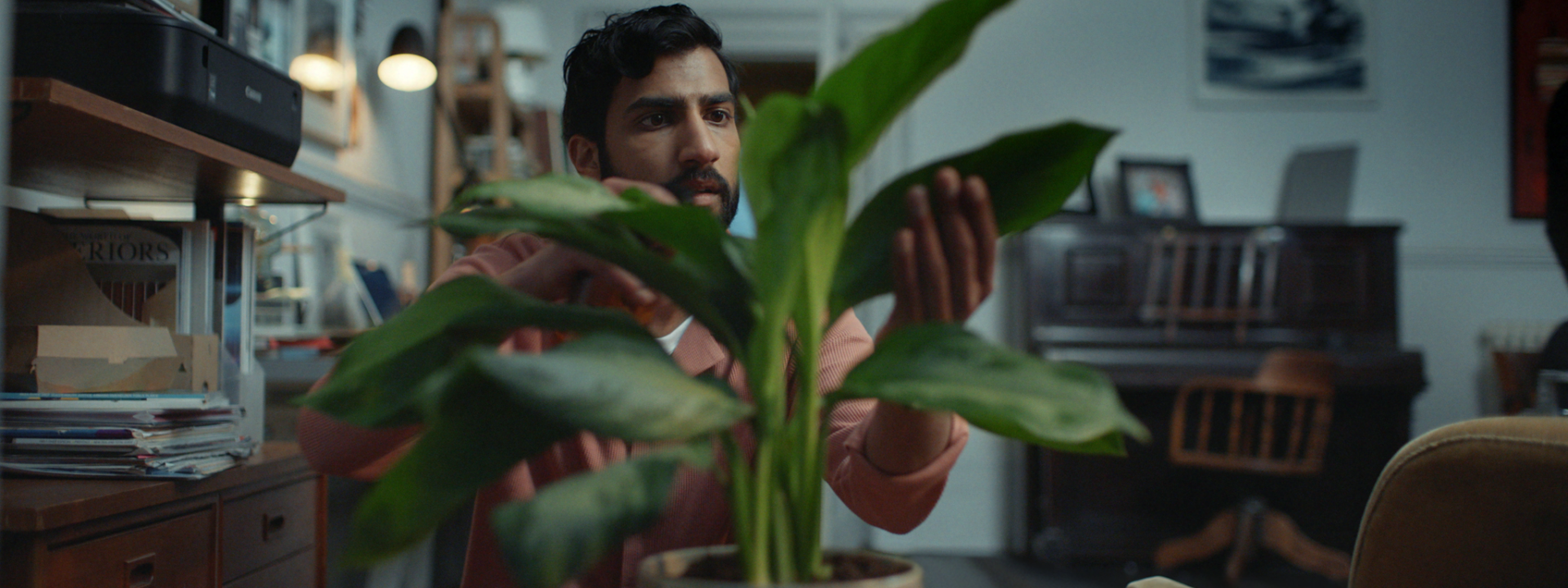 A man tending to a houseplant