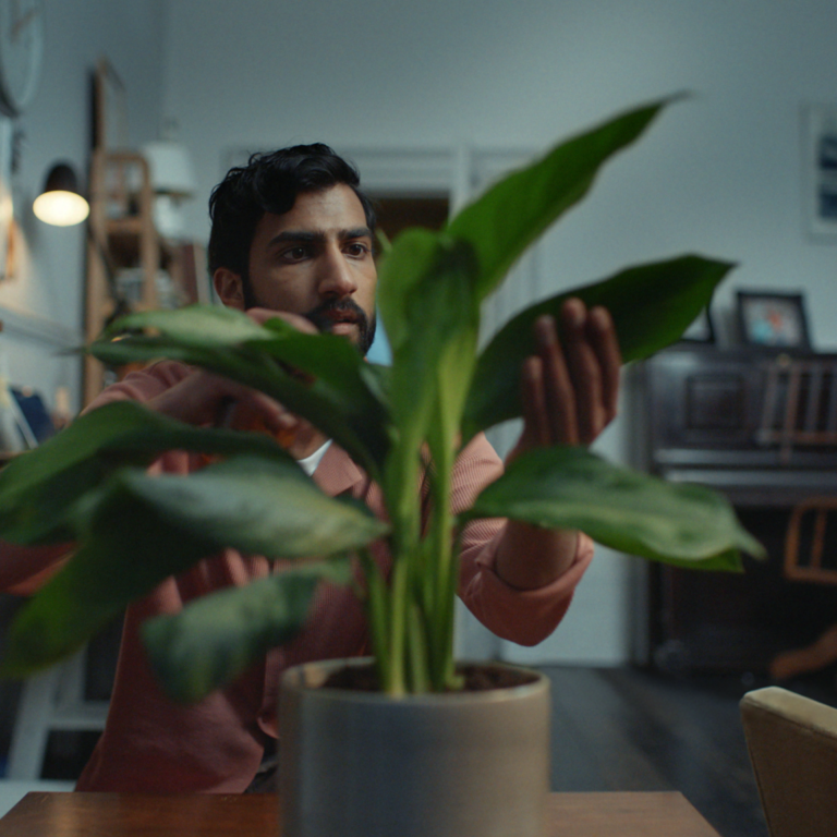 A man tending to a houseplant