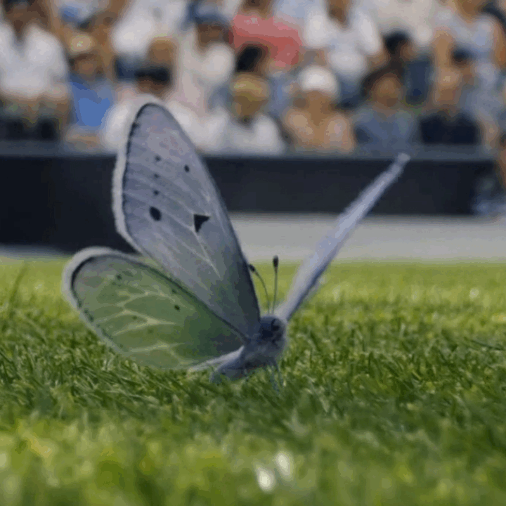Butterly on the tennis court at Wimbledon in VCCP's 2026 campaign
