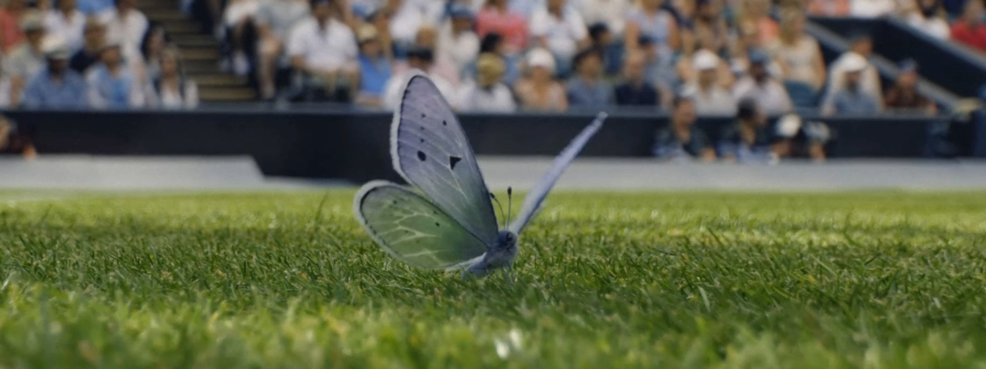 Butterly on the tennis court at Wimbledon in VCCP's 2026 campaign